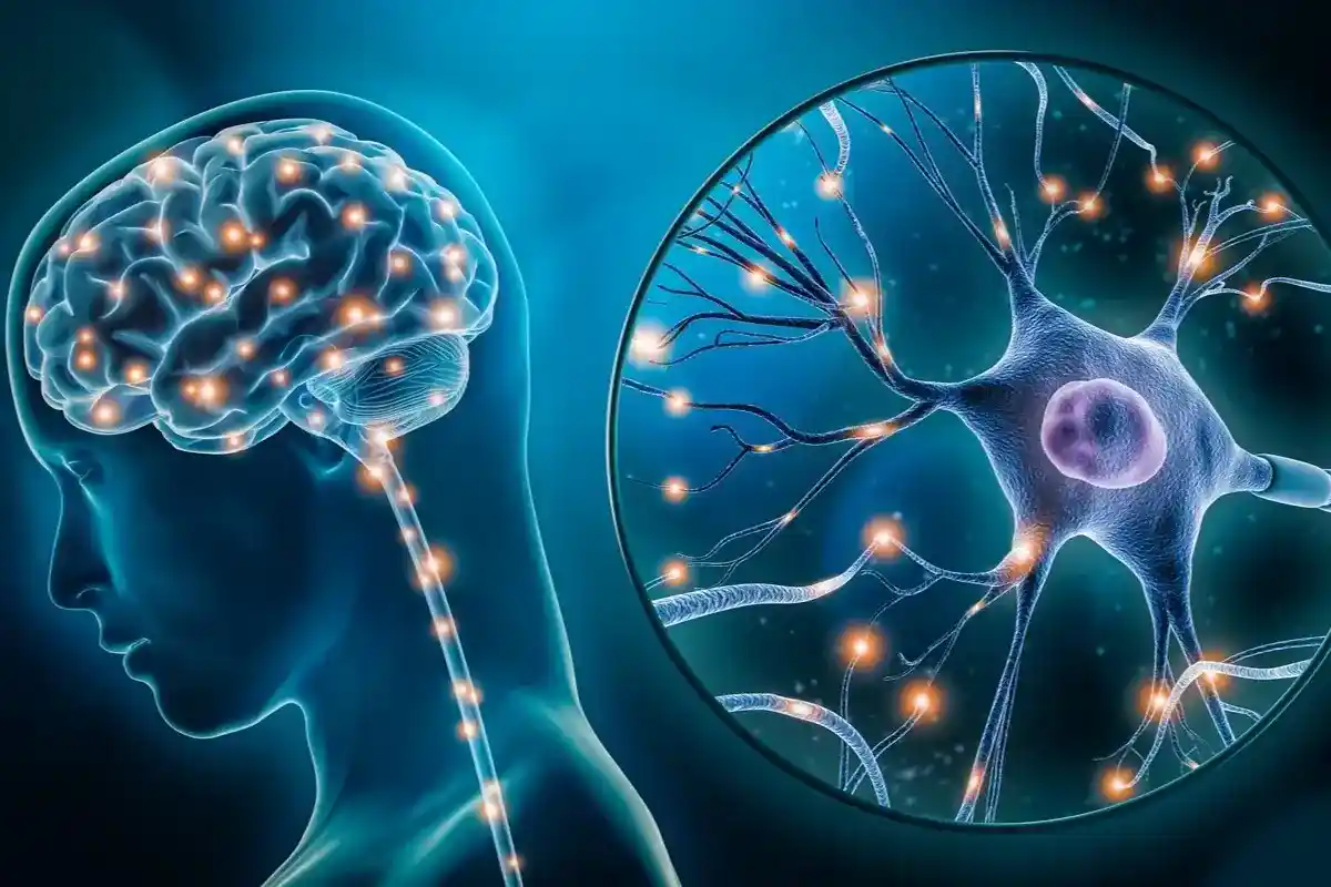 3D reprezentation of a singular radiofrequential RF ionized braincell